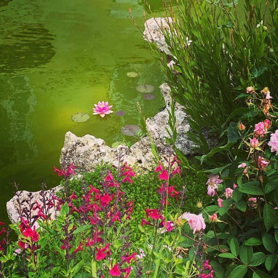 Bed and Breakfast Demeure De Beaulieu Le Coudray-Macouard Esterno foto