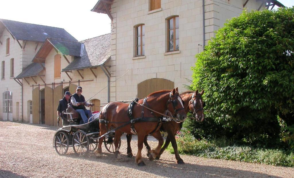 Bed and Breakfast Demeure De Beaulieu Le Coudray-Macouard Esterno foto