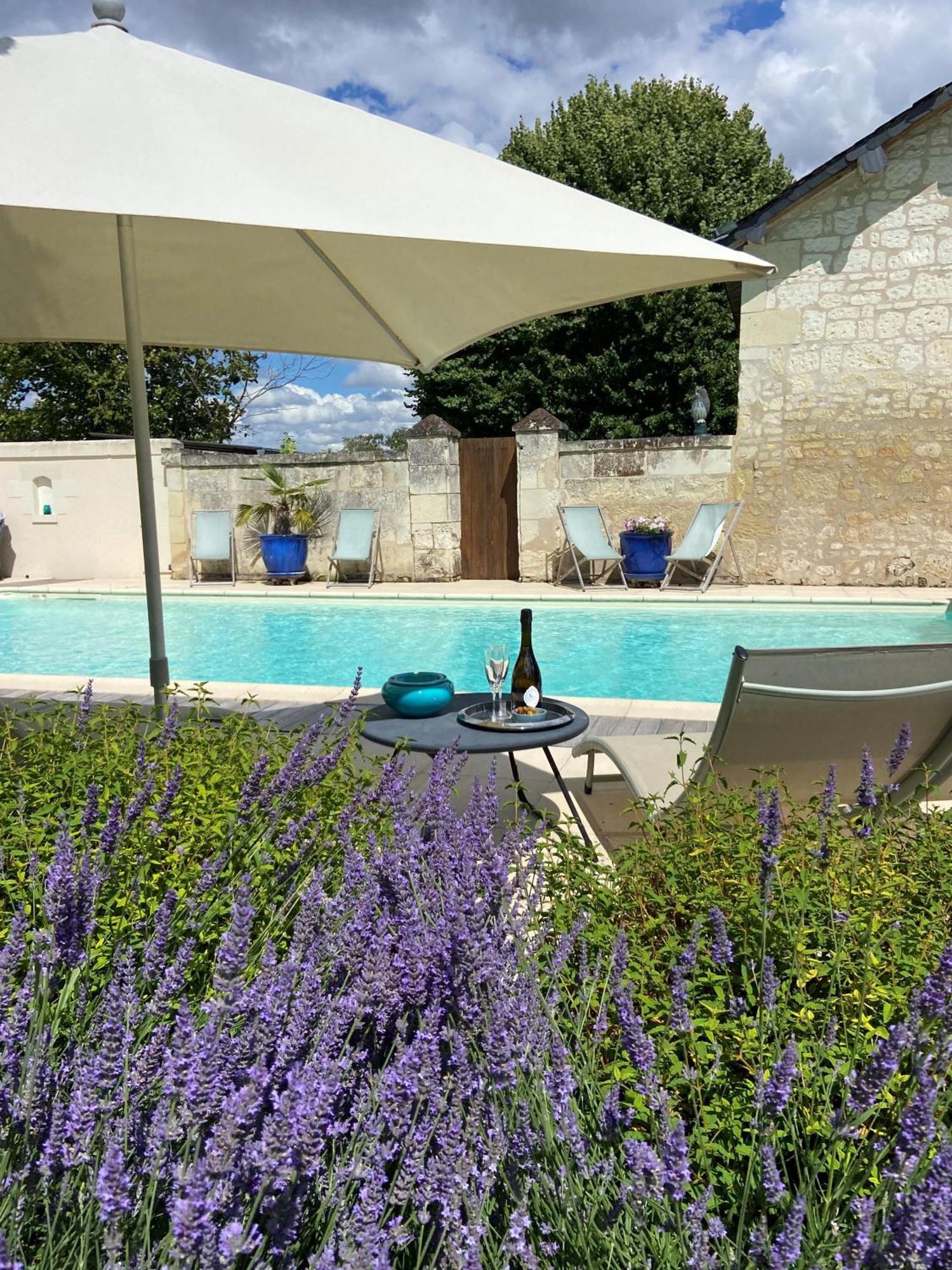 Bed and Breakfast Demeure De Beaulieu Le Coudray-Macouard Esterno foto