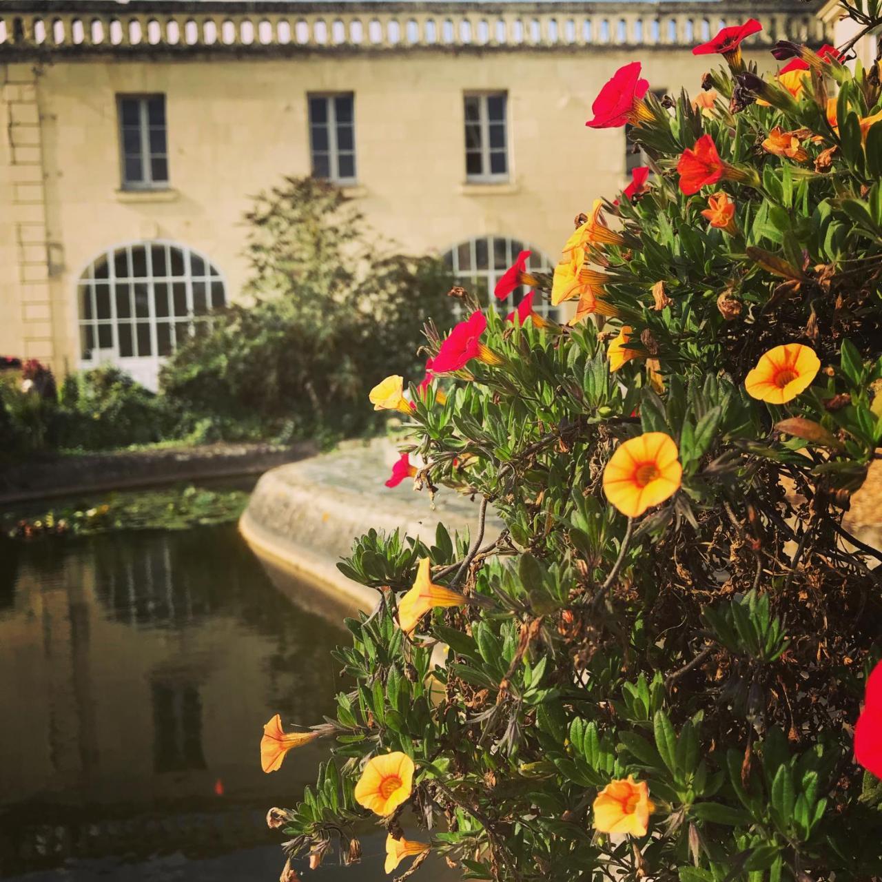 Bed and Breakfast Demeure De Beaulieu Le Coudray-Macouard Esterno foto
