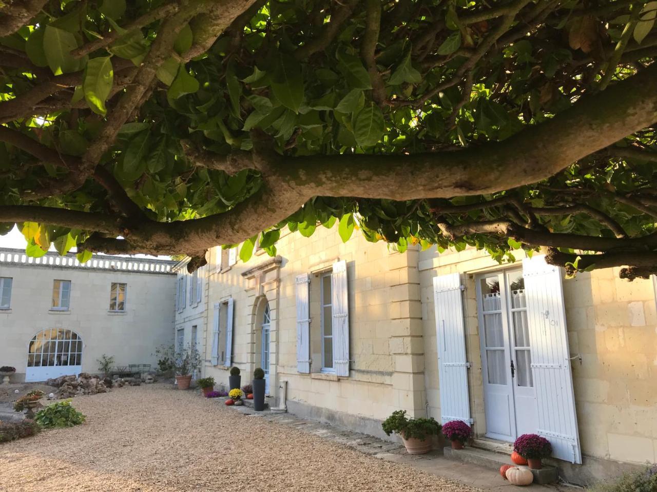 Bed and Breakfast Demeure De Beaulieu Le Coudray-Macouard Esterno foto